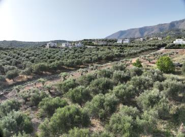 DJI_20240626083258_0014_V