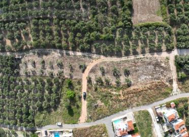 DJI_20240626083349_0015_V