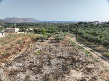 DJI_20240626083437_0016_V