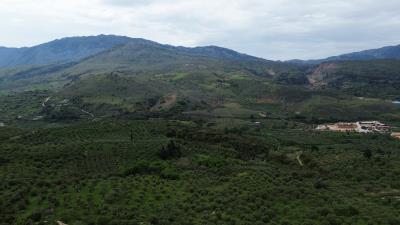 DJI_0161