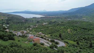 p-DJI_0156