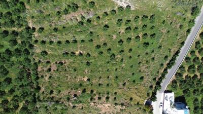 DJI_0229