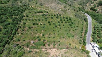 DJI_0228