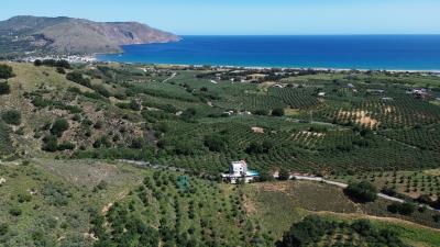 DJI_0233