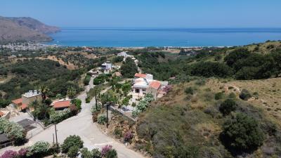 DJI_0486