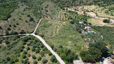-------DJI_0276