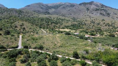 DJI_0280