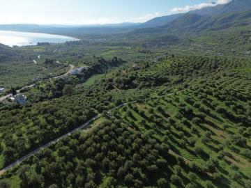 DJI_0029