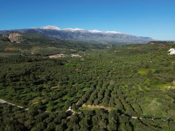 DJI_0033