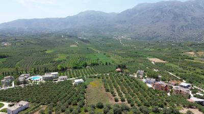 DJI_0594