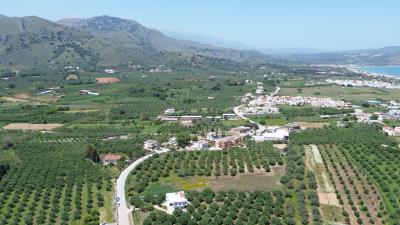 DJI_0606