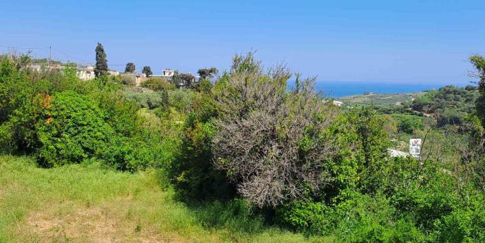 Image No.5-Terre à vendre à Episkopi