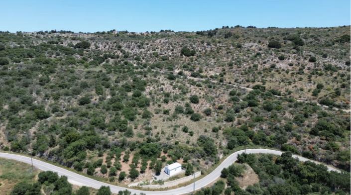 Image No.4-Plot for sale