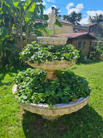 Image No.30-4 Bed House/Villa for sale