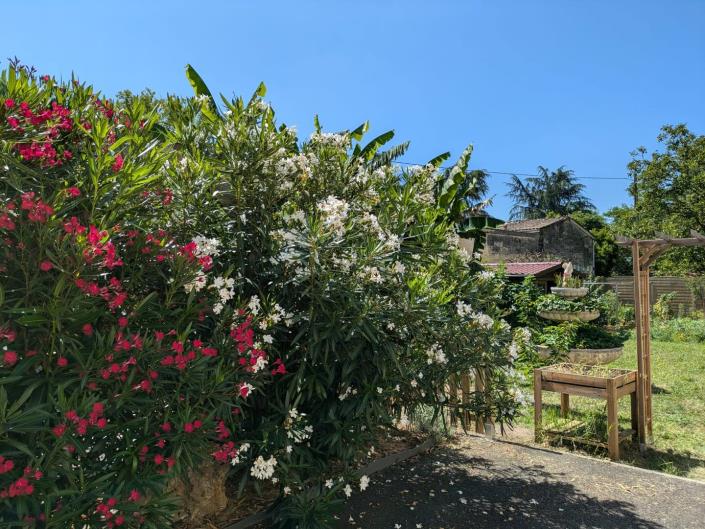 Image No.32-4 Bed House/Villa for sale