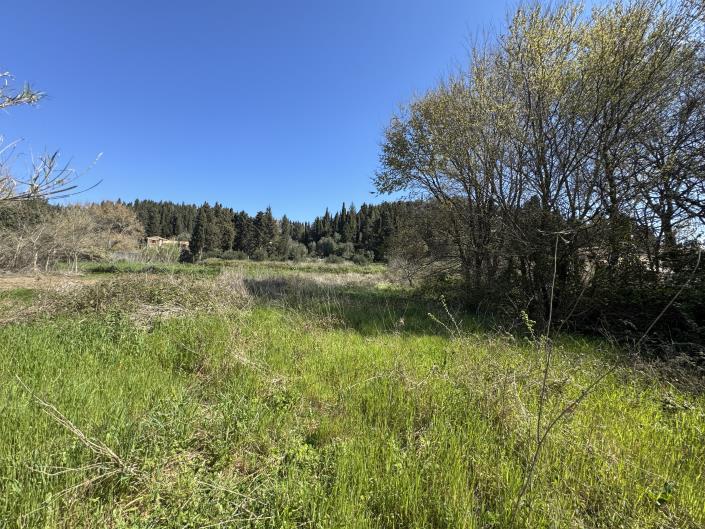 Image No.8-Terre à vendre à Corfou