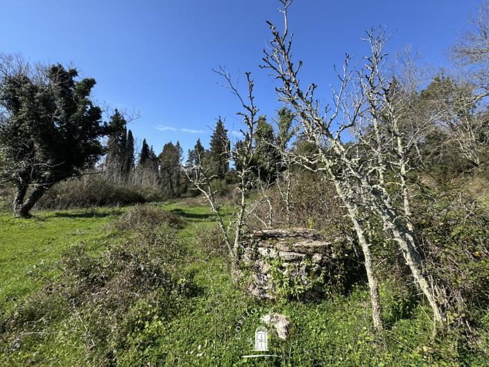 Image No.5-Terre à vendre à Ano Korakiana