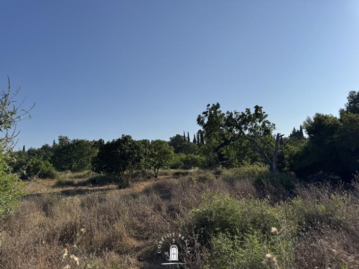 Image No.5-Terre à vendre à Ano Korakiana