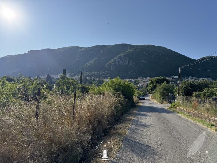 Image No.11-Terre à vendre à Ano Korakiana