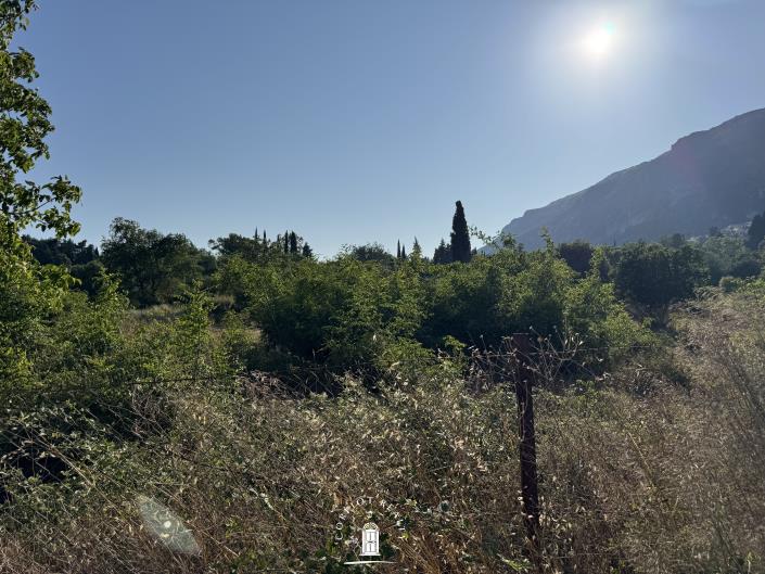 Image No.12-Terre à vendre à Ano Korakiana