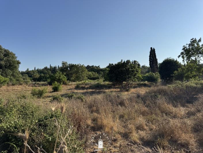 Image No.13-Terre à vendre à Ano Korakiana