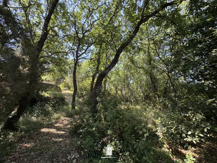 Image No.5-Plot for sale