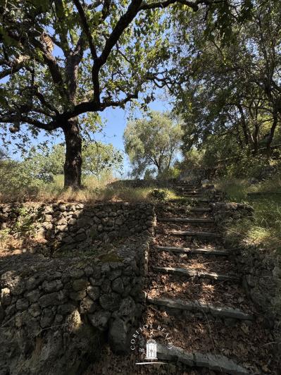 Image No.3-floorplan-3