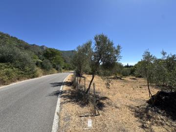 Corfu-buildable-plot-for-sale-15