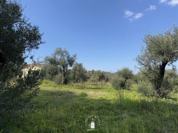 corfu-land-dafni-opportunity