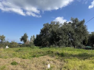 agricultural-land-dafni-corfu