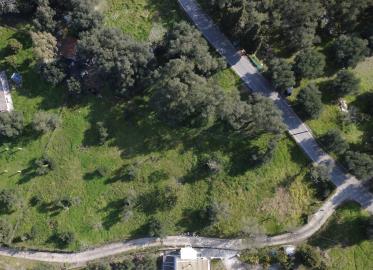 investment-land-dafni-corfu