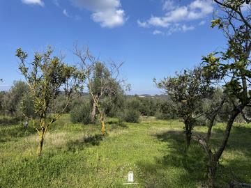 investment-opportunity-dafni-corfu-plot