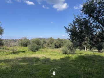 land-in-dafni-corfu-with-mountain-view