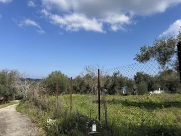 large-land-for-sale-dafni-corfu