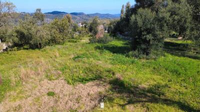 plot-dafni-corfu-countryside