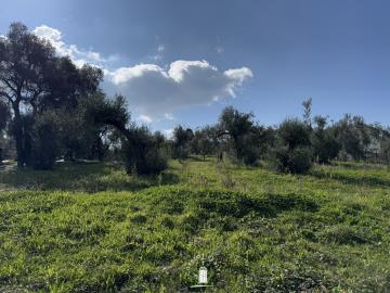 plot-for-construction-dafni-corfu