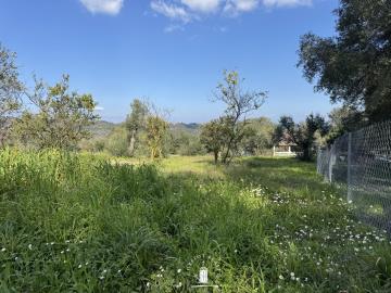 plot-for-development-dafni-corfu