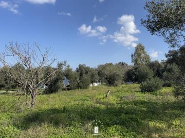 real-estate-plot-dafni-corfu