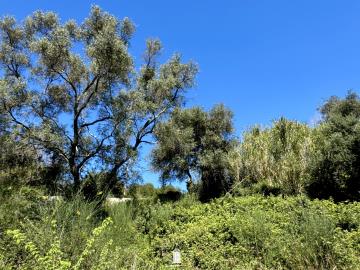 plot-central-location-corfu