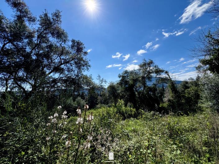 Image No.4-Land for sale