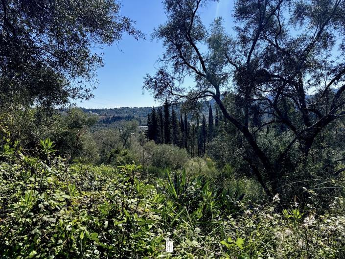 Image No.5-Land for sale