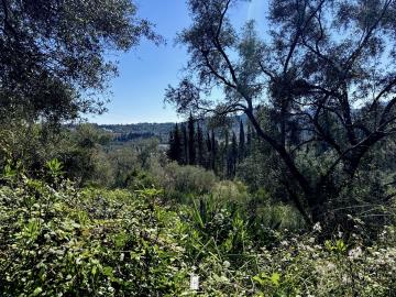plot-surrounded-by-nature-corfu