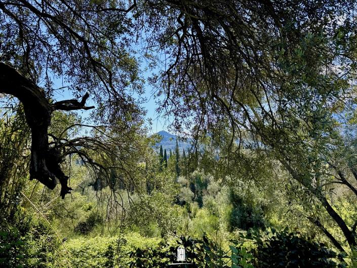 Image No.8-Land for sale