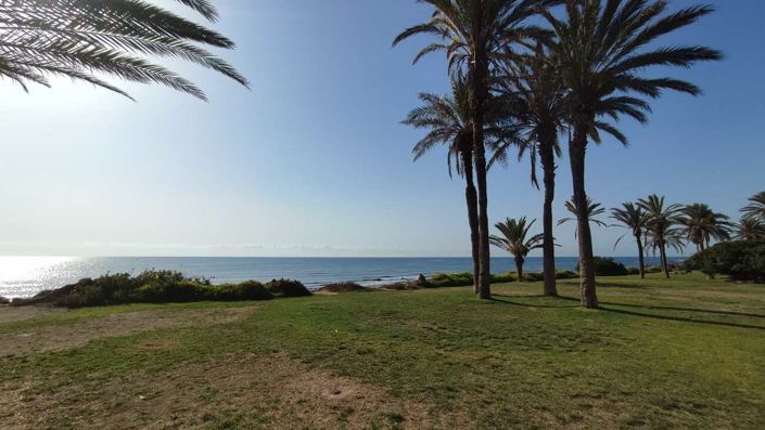 Image No.14-Appartement de 2 chambres à vendre à Torrevieja