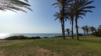 apartment-torrevieja-cl130-19