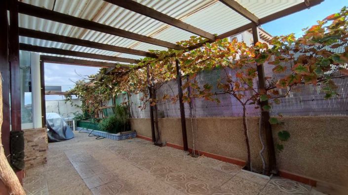 Image No.10-3 Bed Quad for sale