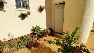 apartment-playa-flamenca-cl211-8