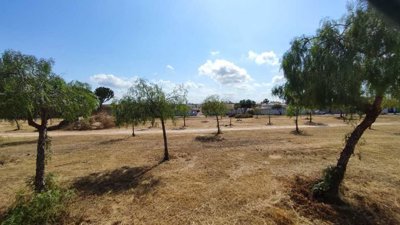 villa-los-altos-cl310-6