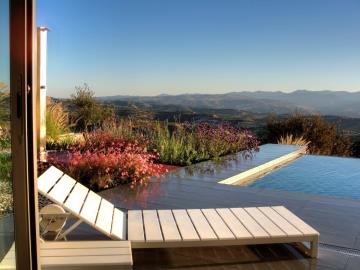 Minthis_photo_Callisto_pool-area