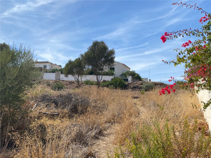 Image No.1-Plot for sale